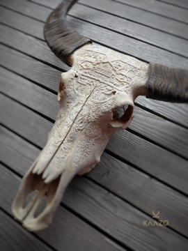 Kaazo Waterbuffalo Skull Swiss Alpine Design
