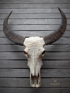 Kaazo Waterbuffalo Skull Swiss Alpine Design