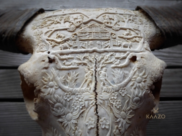 Kaazo Waterbuffalo Skull Swiss Alpine Design