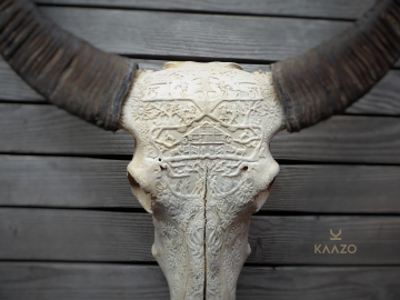 Kaazo Waterbuffalo Skull Swiss Alpine Design