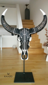 Kaazo - Ata Toast Bozaci Water Buffalo Skull Front Home