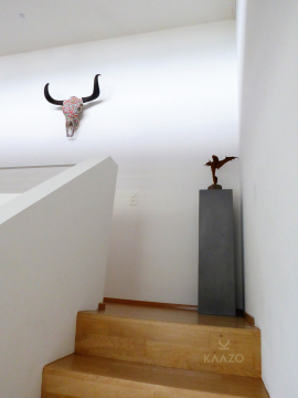 Fredinko x Kaazo Yak Skull Pop Art