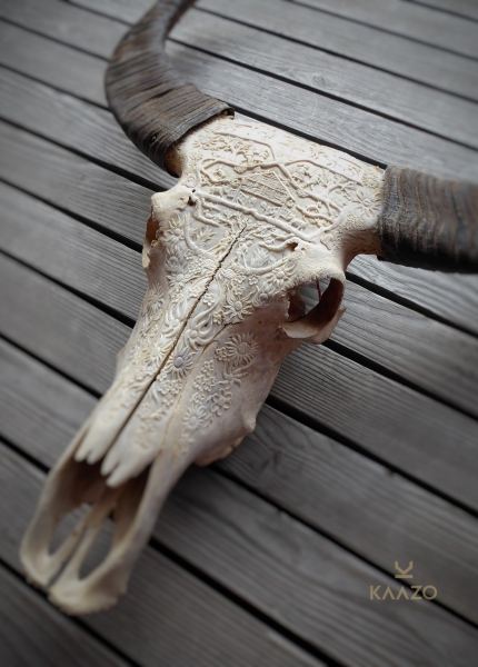 Kaazo - Water Buffalo Skull Swiss Alpine Dreams