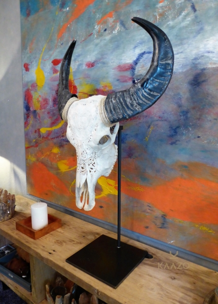 Kaazo Swiss Alpine Dreams Water Buffalo Skull Firth Furniture